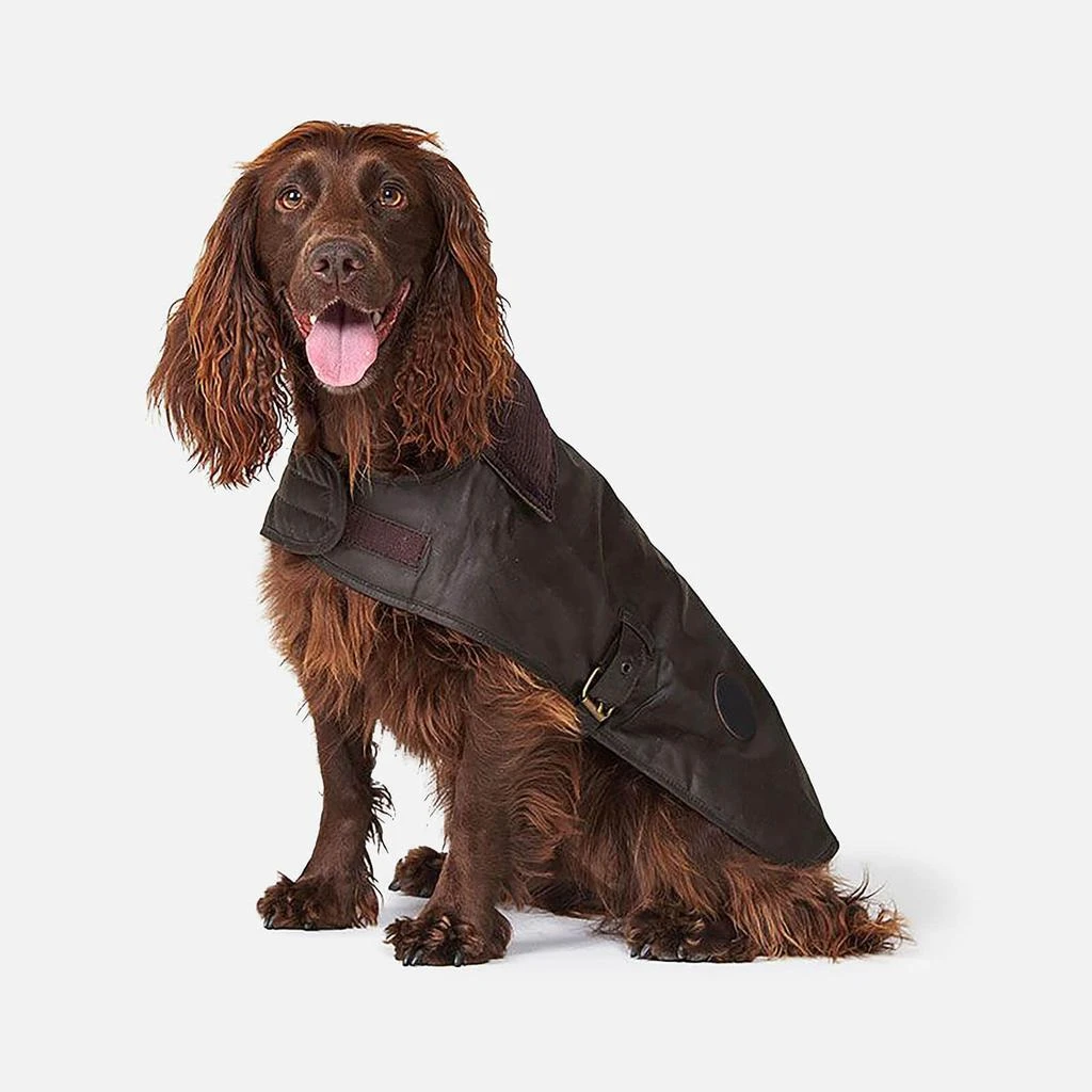 商品Barbour|Barbour Matt Wax Dog Coat - Olive,价格¥331,第1张图片