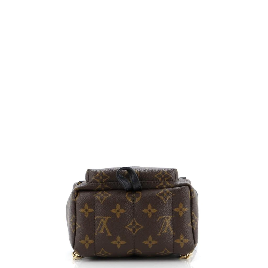 商品Louis Vuitton|Palm Springs Backpack Monogram Canvas Mini,价格¥10411,第4张图片详细描述