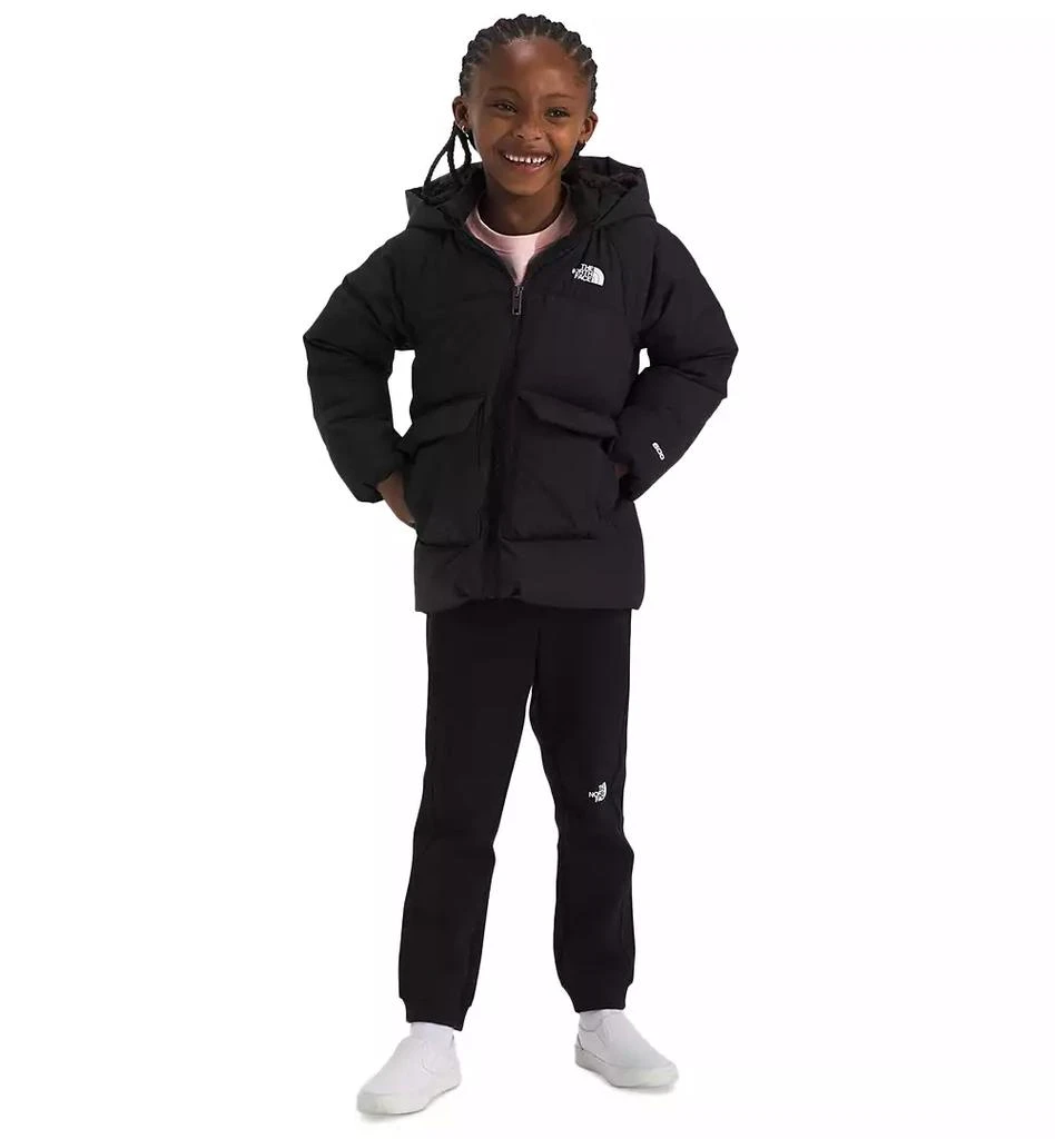 商品The North Face|Toddler & Little Girls North Quilted Fleece-Lined Full-Zip Hooded Down Parka,价格¥973,第1张图片