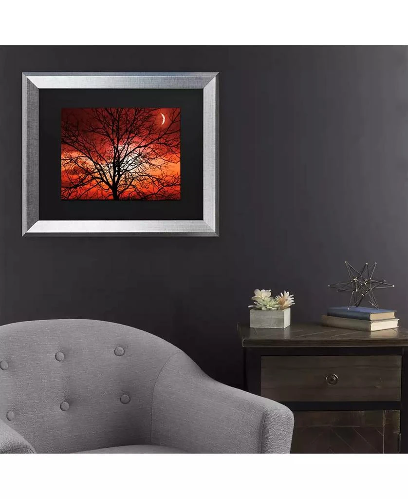 商品Trademark Global|Philippe Sainte-Laudy Big Bad Moon Matted Framed Art - 20" x 25",价格¥556,第3张图片详细描述