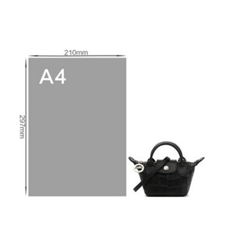 珑骧 LONGCHAMP 奢侈品女士皮革斜跨包黑色10099 HMV 001商品第5张图片规格展示