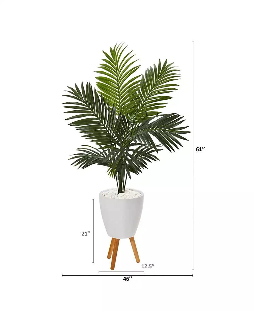 商品NEARLY NATURAL|61" Paradise Palm Artificial Tree in White Planter with Stand,价格¥1946,第3张图片详细描述