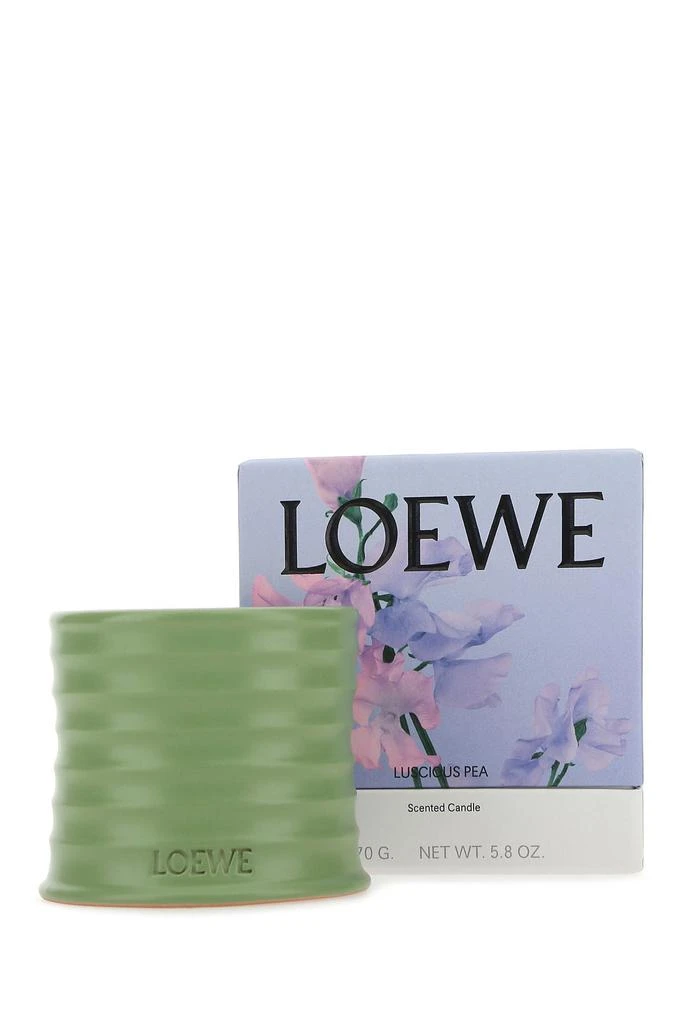 商品Loewe|2000008793681,价格¥629,第1张图片