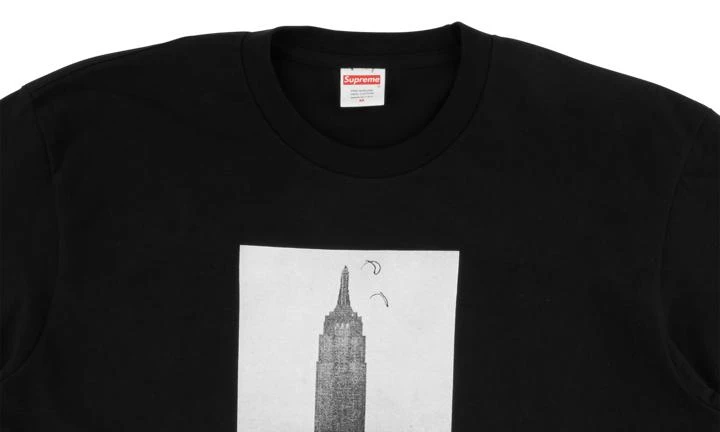 商品Supreme|Supreme Mike Kelley Empire State Build,价格¥1025,第3张图片详细描述