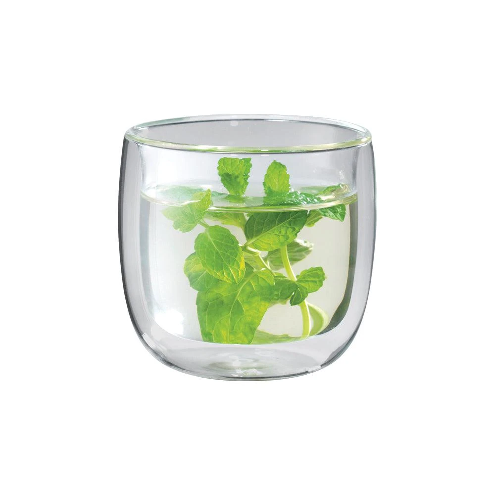 商品ZWILLING|Sorrento 2-pc Double-Wall Glass Tea Cup Set,价格¥318,第1张图片详细描述