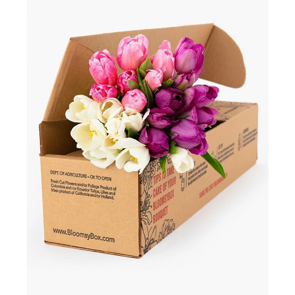 商品BloomsyBox|Sweet Tulips Fresh Flower Bouquet,价格¥413,第2张图片详细描述