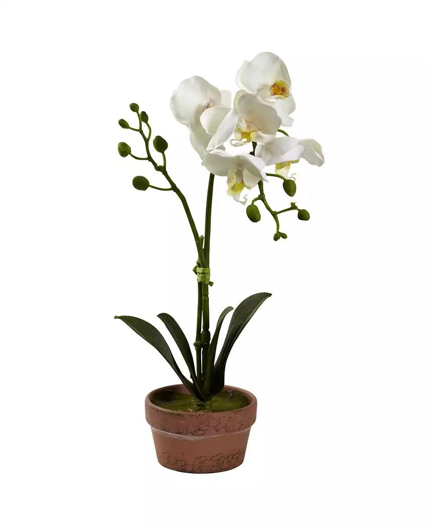 商品NEARLY NATURAL|4-Pc. Phalaenopsis Orchid Set with Clay Vases,价格¥389,第5张图片详细描述