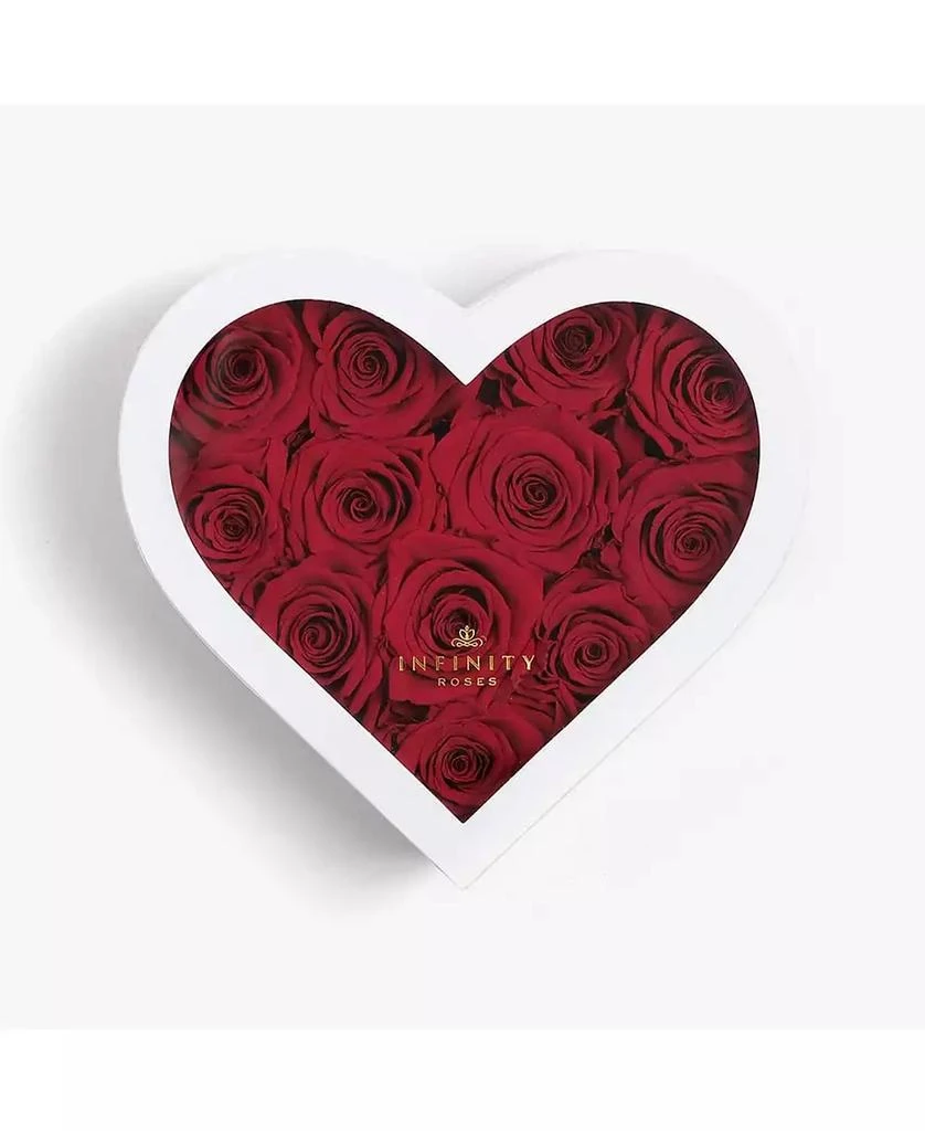 商品Infinity Roses|Heart Box of 12 Red Real Roses Preserved to Last Over a Year,价格¥1264,第3张图片详细描述