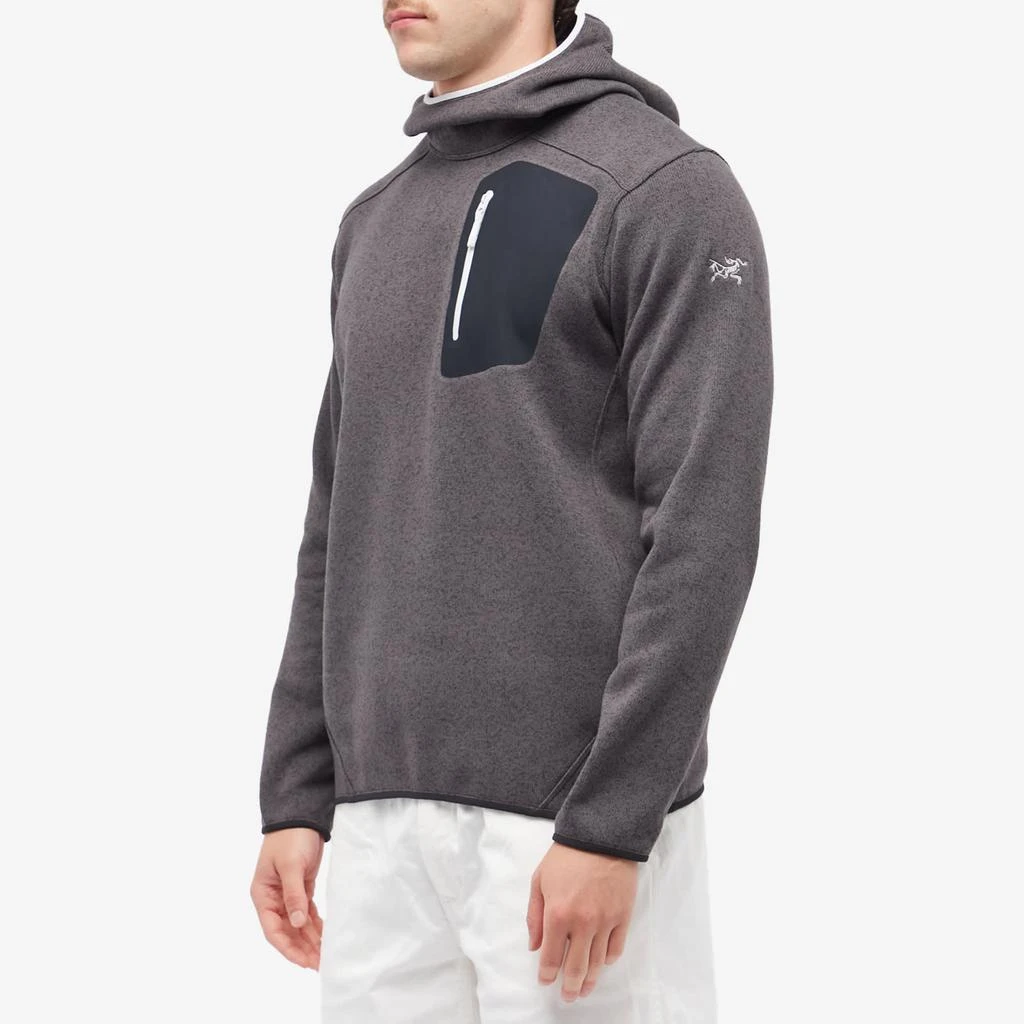 商品Arc'teryx|Arc'teryx Covert Pullover Hoodie,价格¥1587,第2张图片详细描述