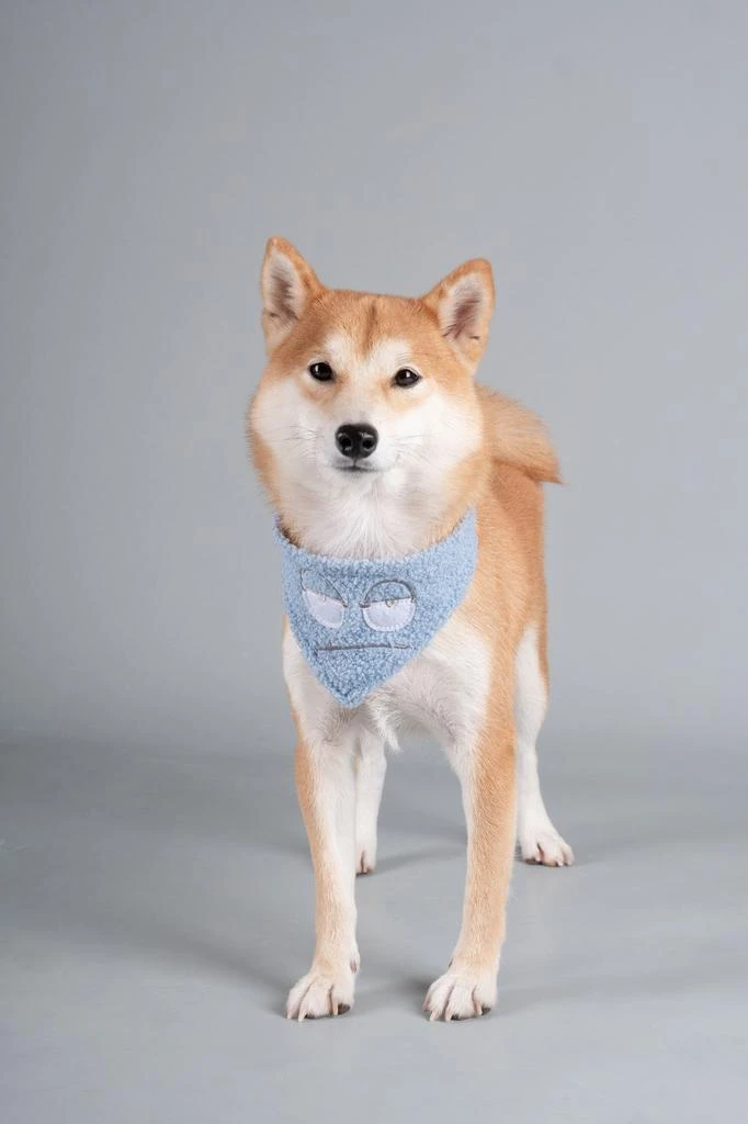 商品Touchdog|'Dizzy-Eyed Cyclops' Cotton Velcro Dog Bandana and Scarf,价格¥111,第3张图片详细描述