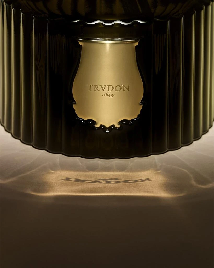 商品TRUDON|Cyrnos Le Diffuseur, Mediterranean Aromas,价格¥1789,第3张图片详细描述