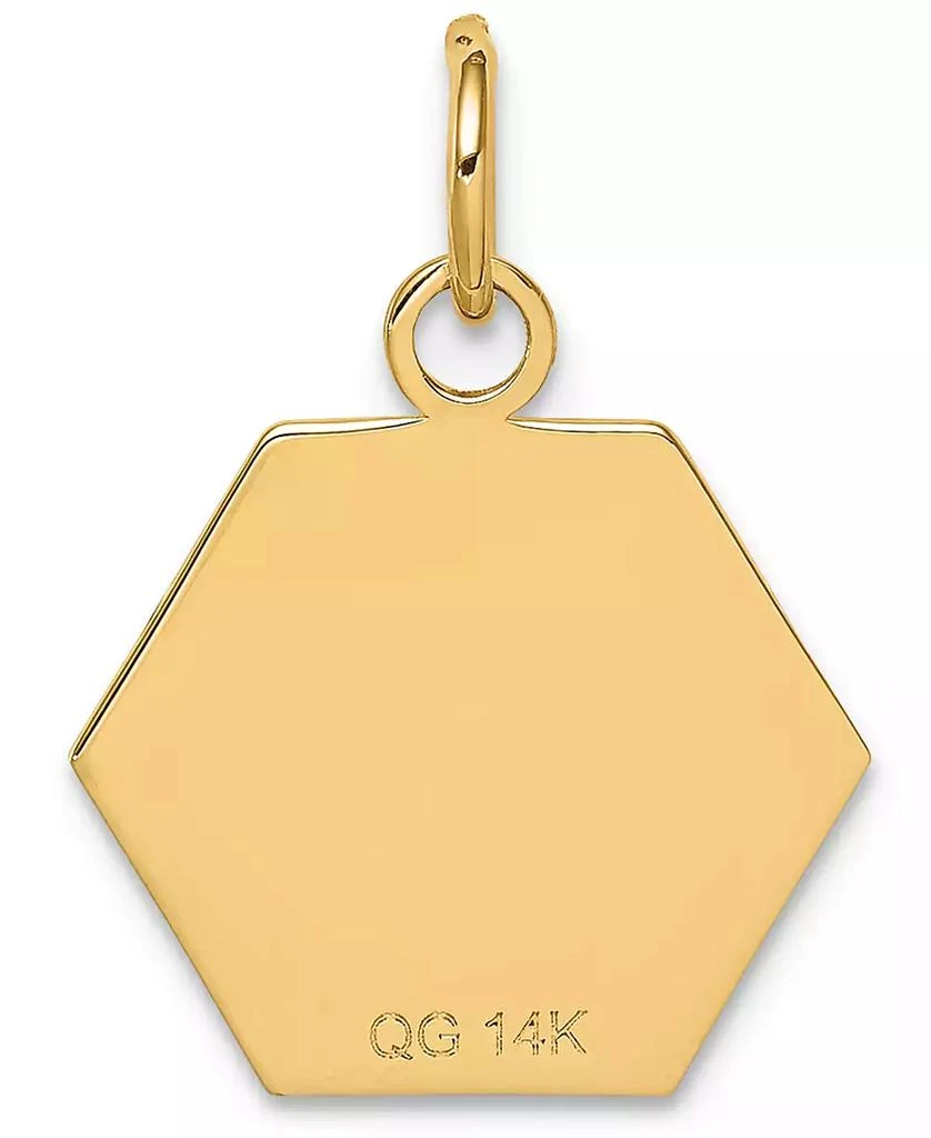 商品Macy's|Medical Info Hexagon Charm Pendant in 14k Gold,价格¥2244,第3张图片详细描述