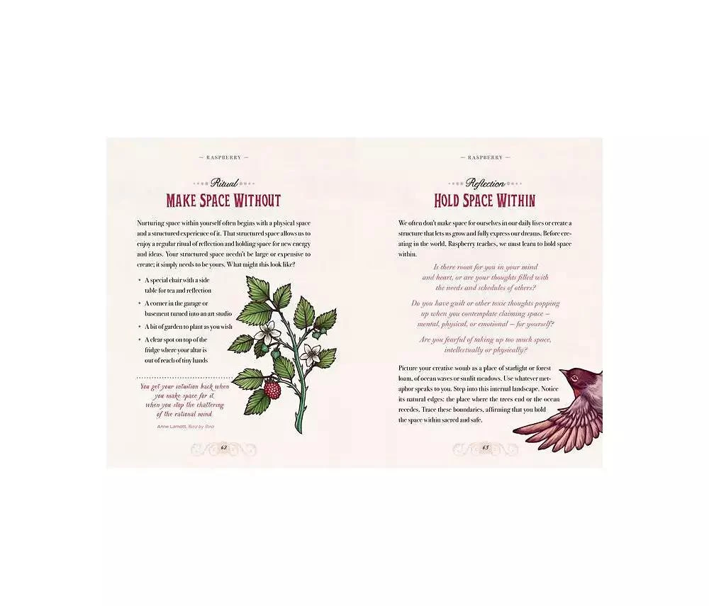 商品Barnes & Noble|The Illustrated Herbiary - Guidance and Rituals from 36 Bewitching Botanicals by Maia Toll,价格¥147,第5张图片详细描述