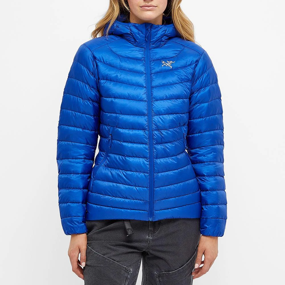 商品Arc'teryx|Arc'teryx Cerium LT Hoody Jacket,价格¥3320,第2张图片详细描述