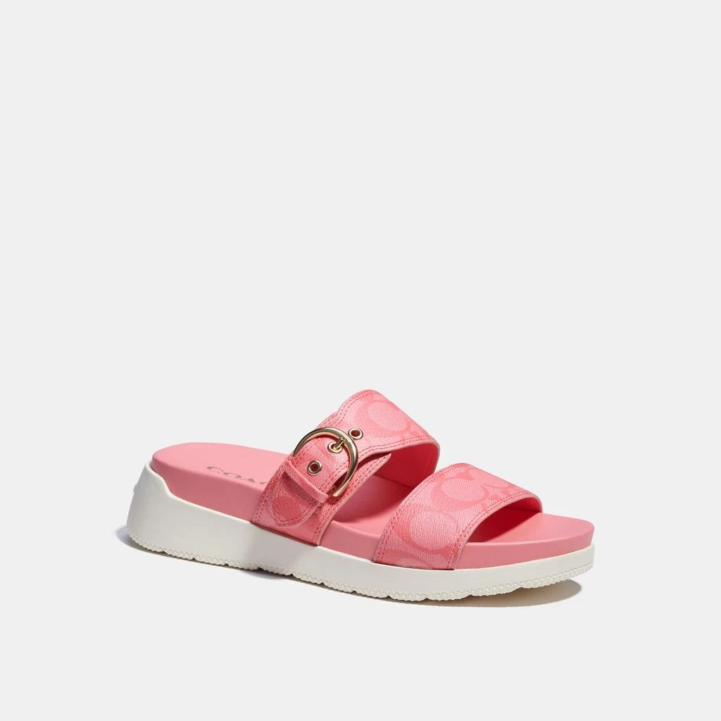 商品Coach|Coach Outlet Gwen Sandal,价格¥645,第2张图片详细描述