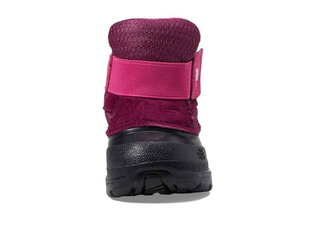 商品The North Face|Alpenglow II (Toddler),价格¥354,第2张图片详细描述
