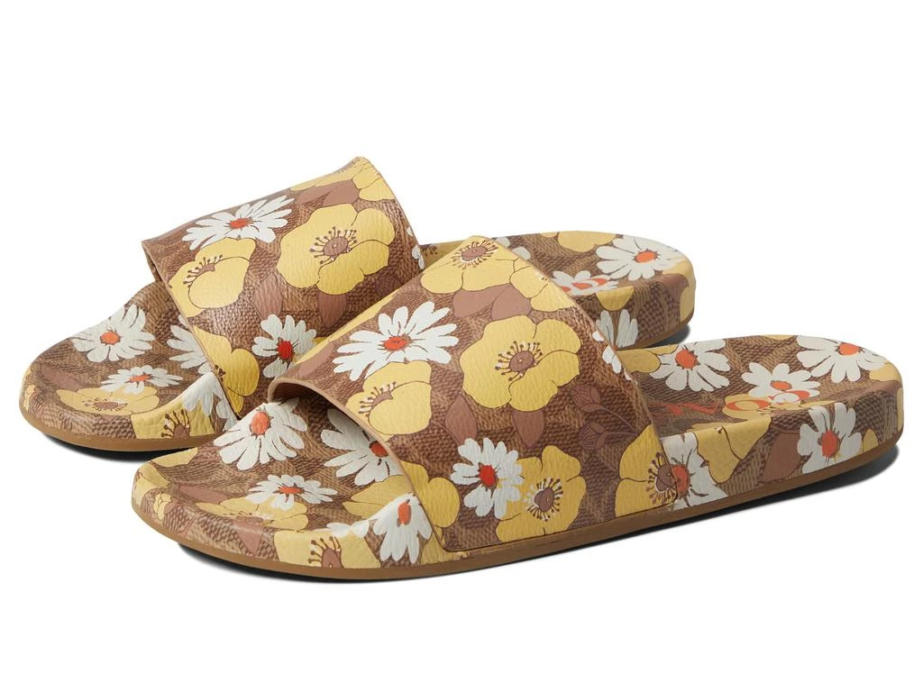 商品Coach|Udele Sig Floral Sport Slide,价格¥564,第1张图片