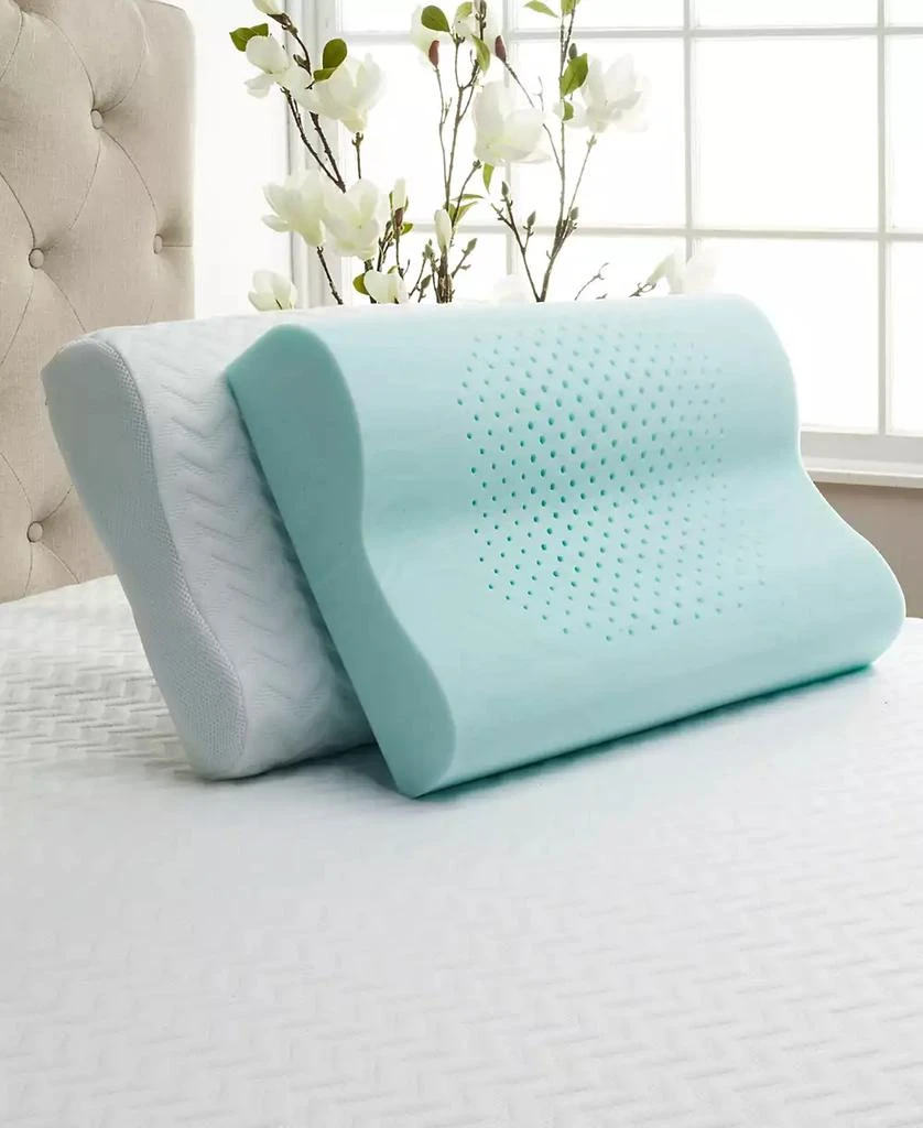 商品Carpenter Co.|Comfort Tech Serene Foam Pillow,价格¥587,第1张图片