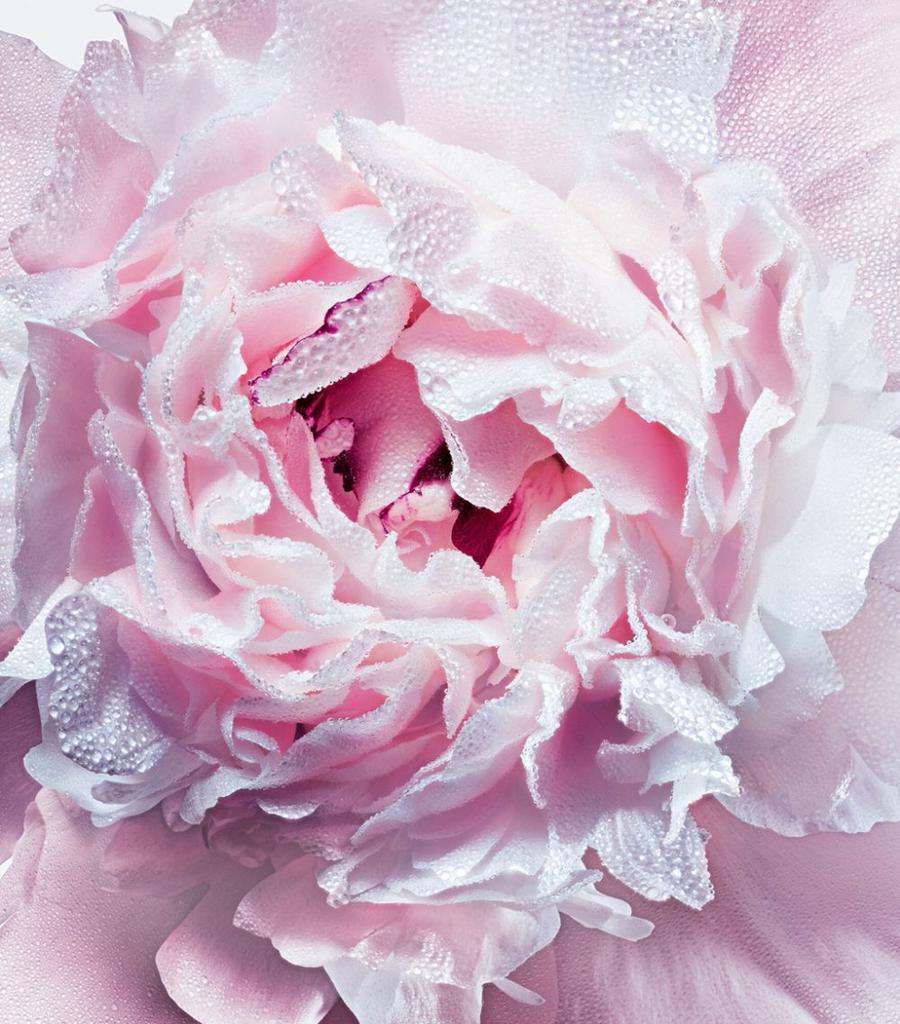 商品Dior|Miss Dior Rose Purifying Hand Gel (100ml),价格¥345,第4张图片详细描述