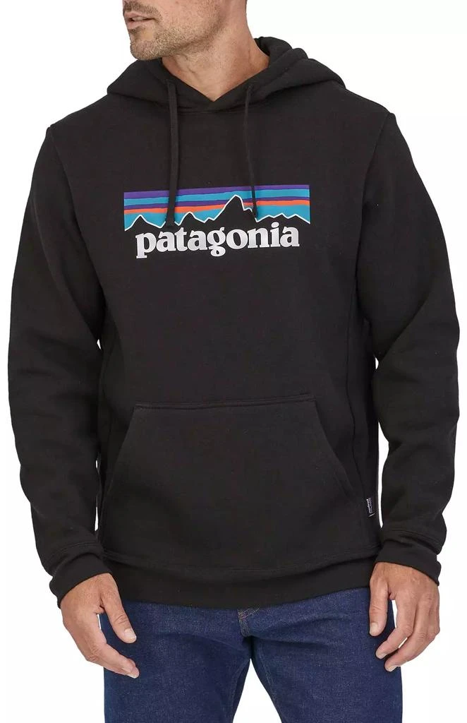 商品Patagonia|男士连帽套头衫,价格¥730,第1张图片详细描述