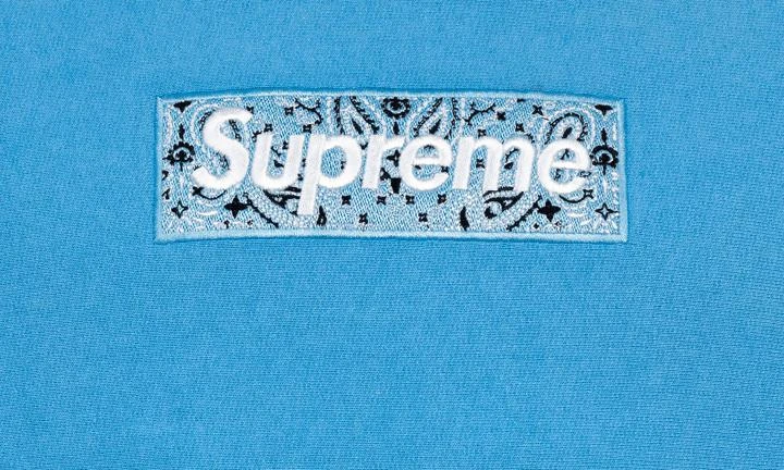 商品Supreme|Supreme Bandana Box Logo Hoodie,价格¥7249-¥8360,第3张图片详细描述