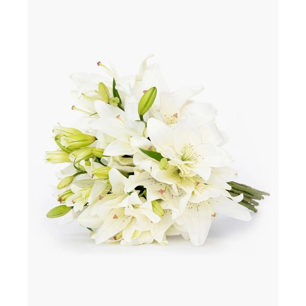 商品BloomsyBox|Casablanca White Lilies Fresh Flower Bouquet,价格¥466,第3张图片详细描述