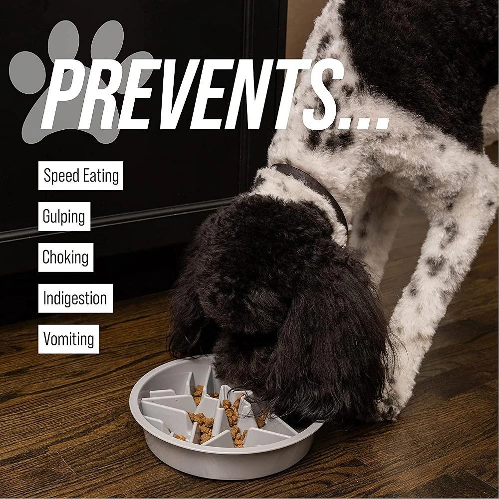 商品Leashboss|Elevated Slow Dog Feed Bowl - 2 Cup,价格¥127,第2张图片详细描述