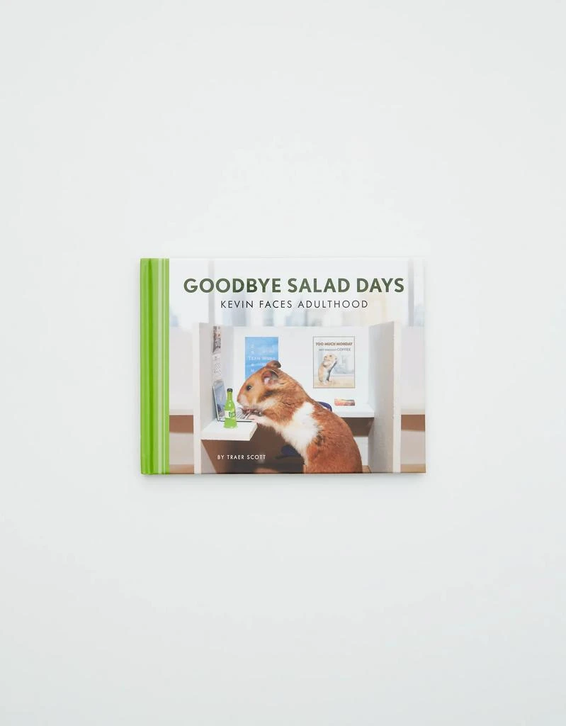 商品Aerie|Goodbye Salad Days Book,价格¥80,第2张图片详细描述