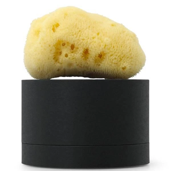 ARgENTUM la lune sur l'eau Silk Sea Face Sponge 商品