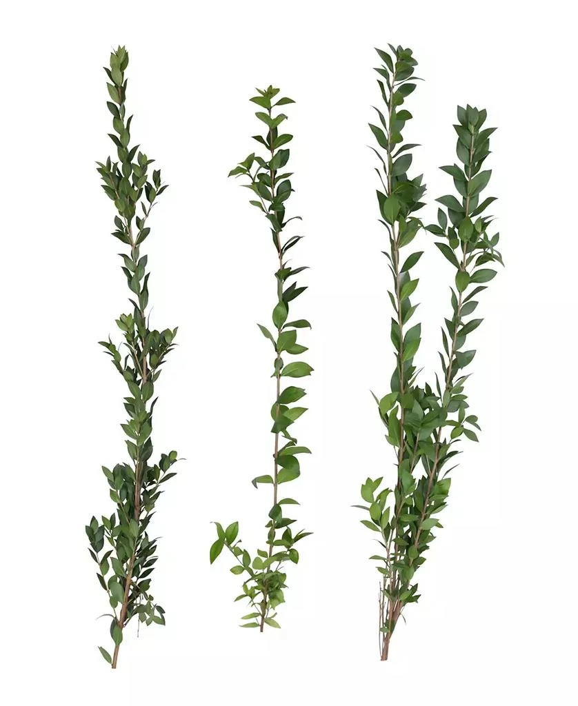 商品Magnolia Supply Co|Fresh Myrtle Bundle,价格¥254,第2张图片详细描述