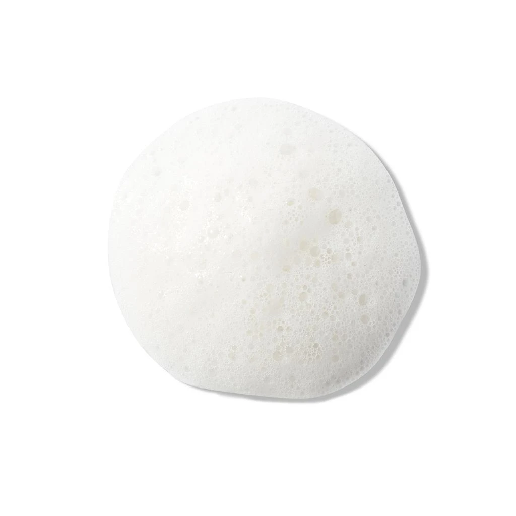 商品Christophe Robin|Christophe Robin Hydrating Shampoo Bar with Aloe Vera 100ml,价格¥183,第3张图片详细描述