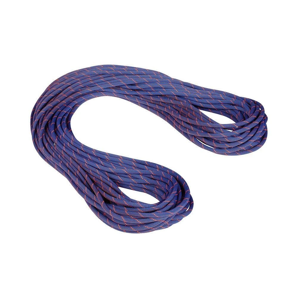 商品Mammut|MAMMUT - 9.0 CRAG SENDER DRY ROPE - 70m - Standard, Ice-Sunris,价格¥2064,第1张图片