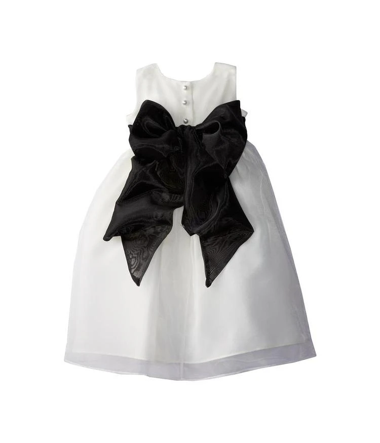 商品Us Angels|Us Angels Sleeveless Organza Dress (Toddler),价格¥408,第2张图片详细描述