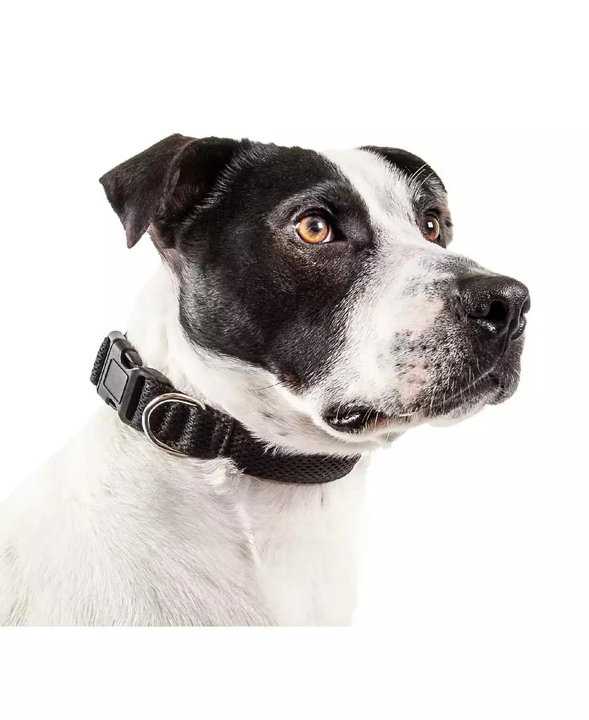 'Aero Mesh' 360 Degree Breathable Adjustable Mesh Dog Collar 商品
