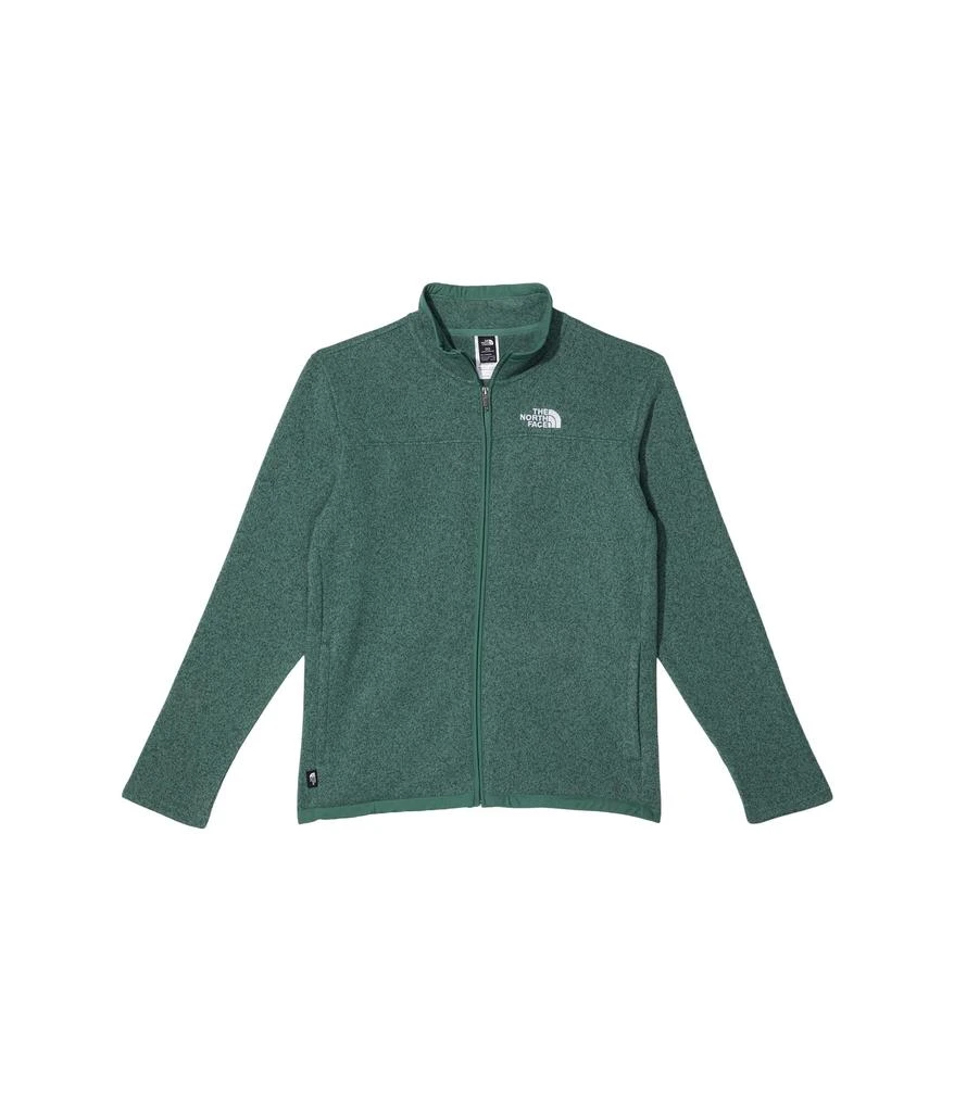 商品The North Face|Sweater Fleece Full Zip (Little Kids/Big Kids),价格¥599,第1张图片