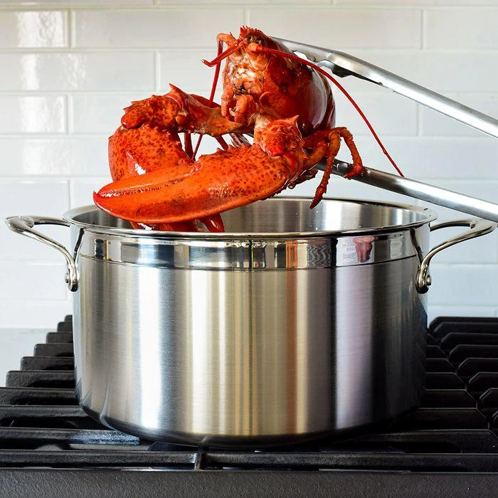 商品Hestan|ProBond™ 8 Quart Forged Stainless Steel  Stock Pot with Lid,价格¥2766,第3张图片详细描述
