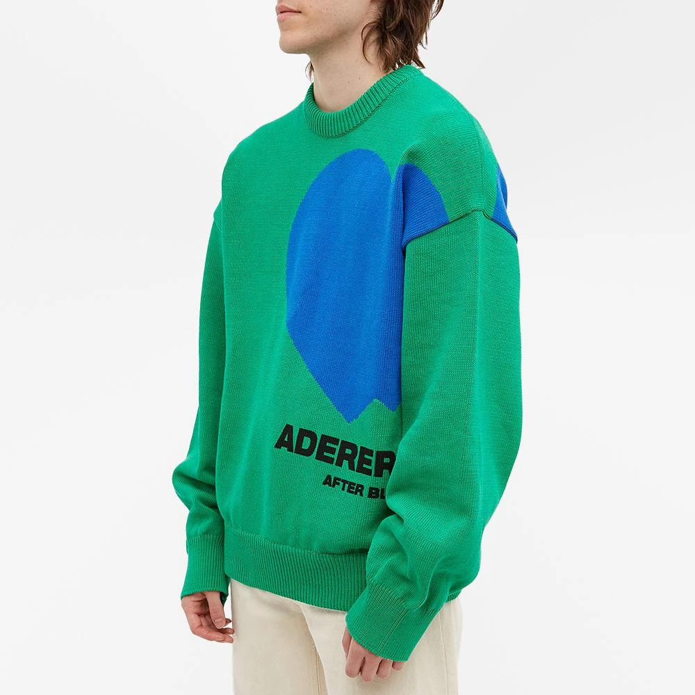 商品ADER error|ADER Error Together Logo Crew Knit,价格¥1625,第2张图片详细描述