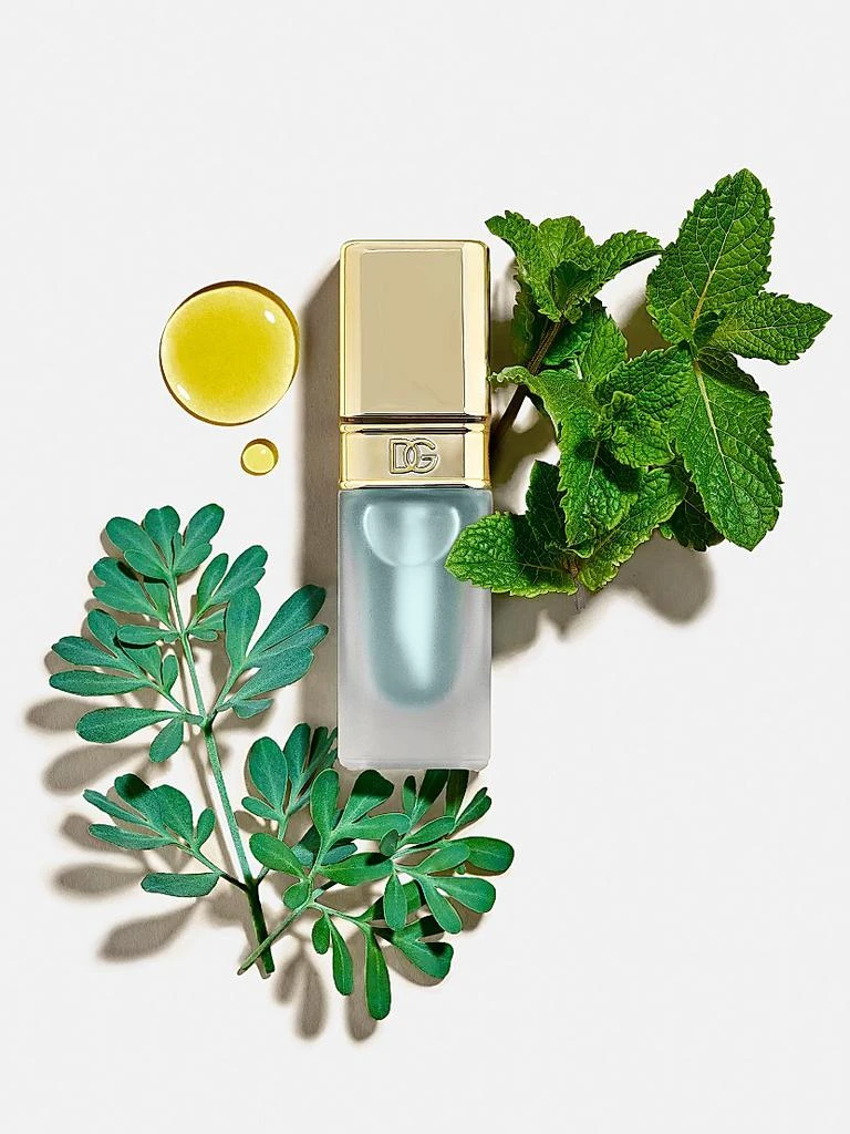 商品Dolce & Gabbana|Mint Oil Lip Plumper,价格¥304,第5张图片详细描述