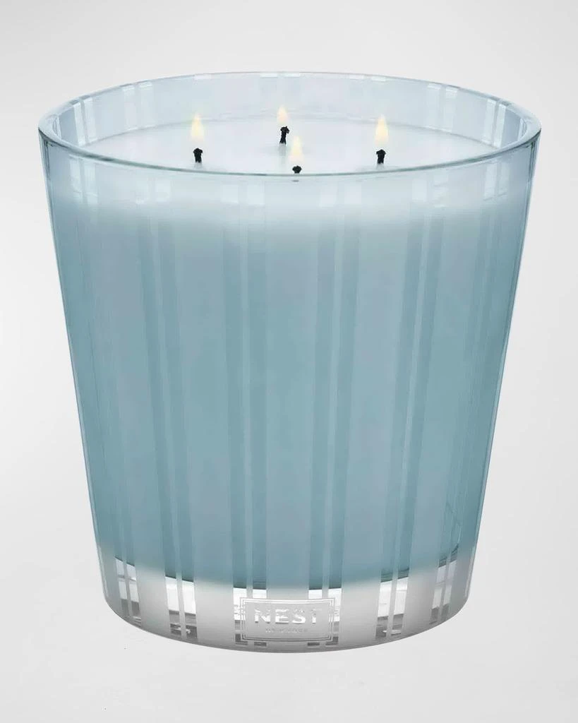 商品NEST New York|43.7 oz. Driftwood & Chamomile Luxury Candle,价格¥1468,第2张图片详细描述