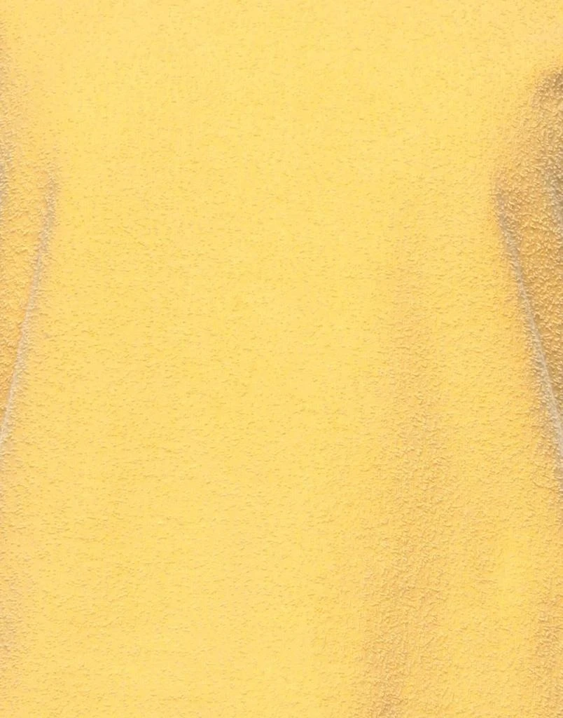 商品American Vintage|Sweatshirt,价格¥242,第4张图片详细描述