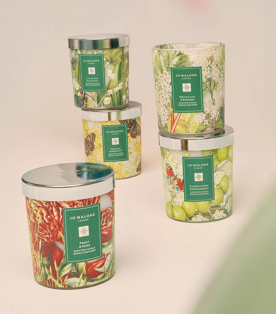 商品Jo Malone London|Lily Of The Valley & Ivy Charity Classic Candle (200g),价格¥526,第3张图片详细描述