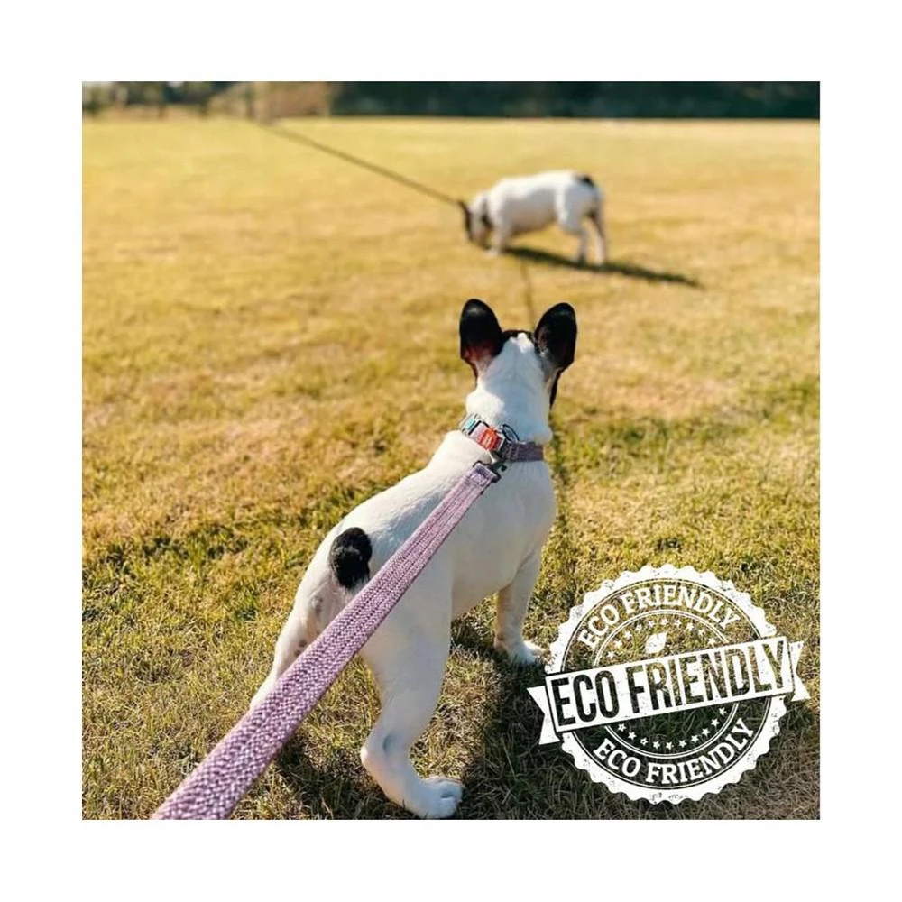 商品Waudog|Eco-Friendly Re-Cotton Leash For Dogs, reflective,价格¥164,第3张图片详细描述