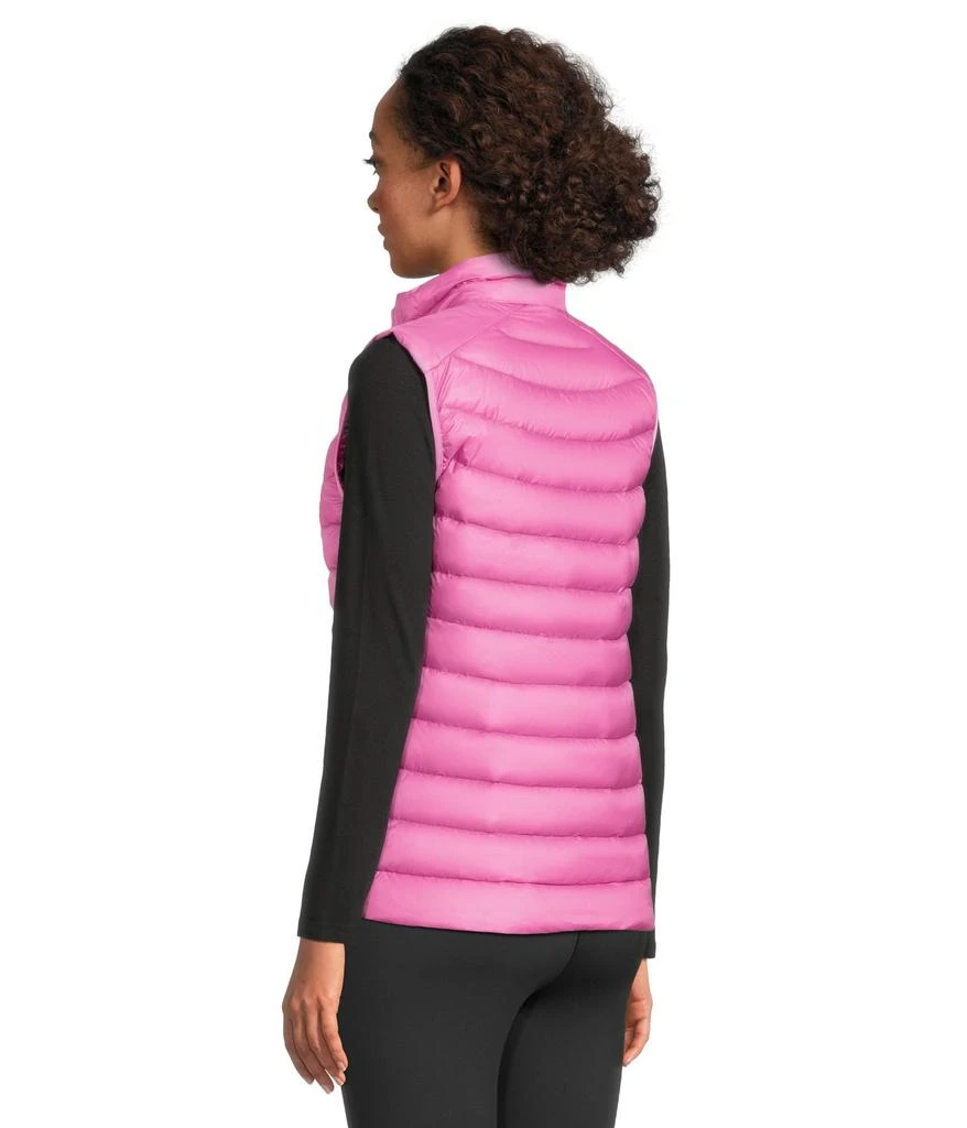 商品Arc'teryx|Cerium Vest,价格¥2049,第3张图片详细描述