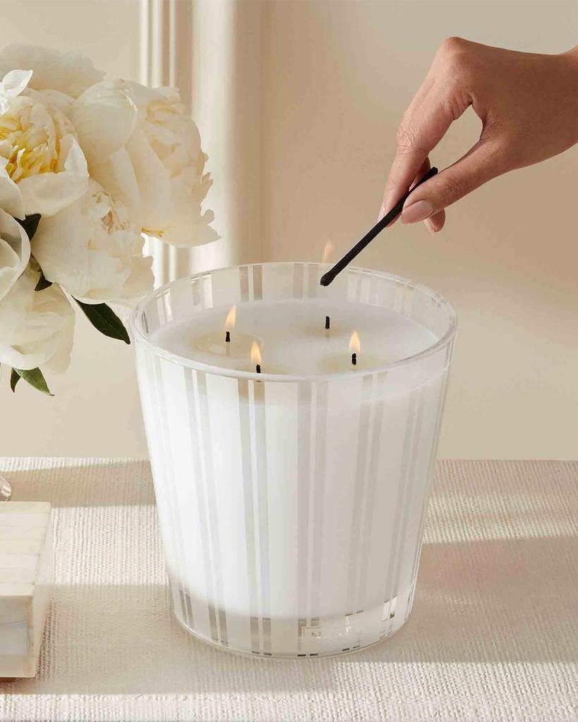 商品NEST New York|Grapefruit Luxury 4 Wick Candle,价格¥1306,第6张图片详细描述
