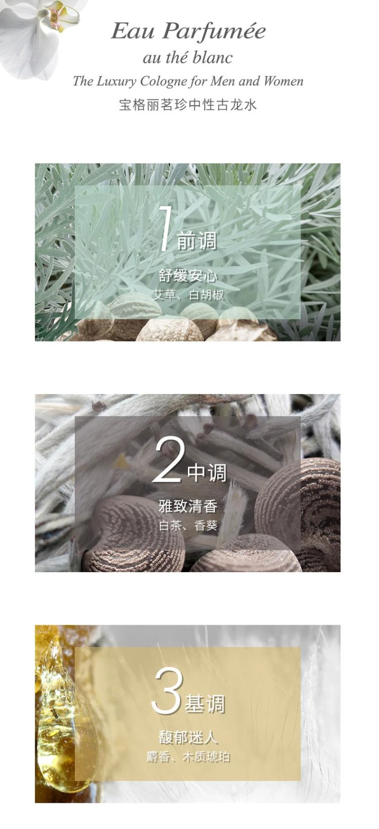 商品BVLGARI|欧洲直邮BVLGARI宝格丽中性淡香水（白茶香） 纯净宁谧雅韵 75ml,价格¥1057,第2张图片详细描述