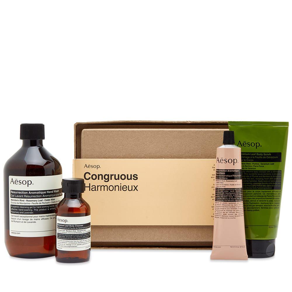 Aesop Congruous: Elaborate Body Kit商品第1张图片规格展示