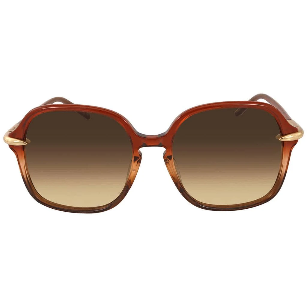 商品Pomellato|Pomellato Brown Square Ladies Sunglasses PM0035S 002 56,价格¥532,第2张图片详细描述