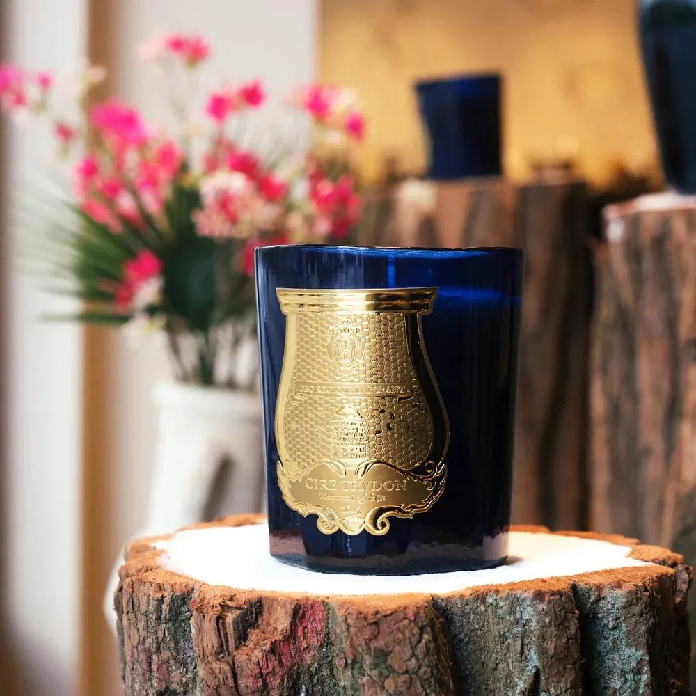 商品Cire Trudon|Salta 葡萄柚 270克,价格¥379,第4张图片详细描述