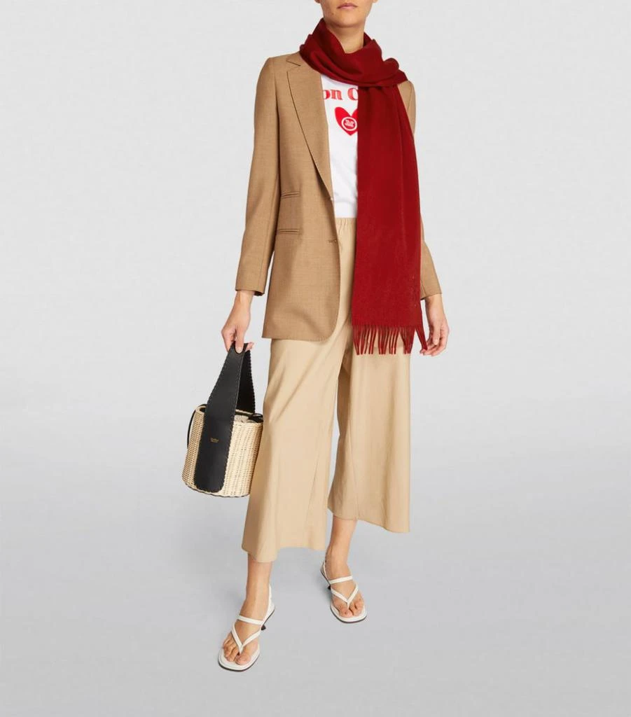 商品Max Mara|Cashmere Monogram Stole Scarf,价格¥1797,第2张图片详细描述