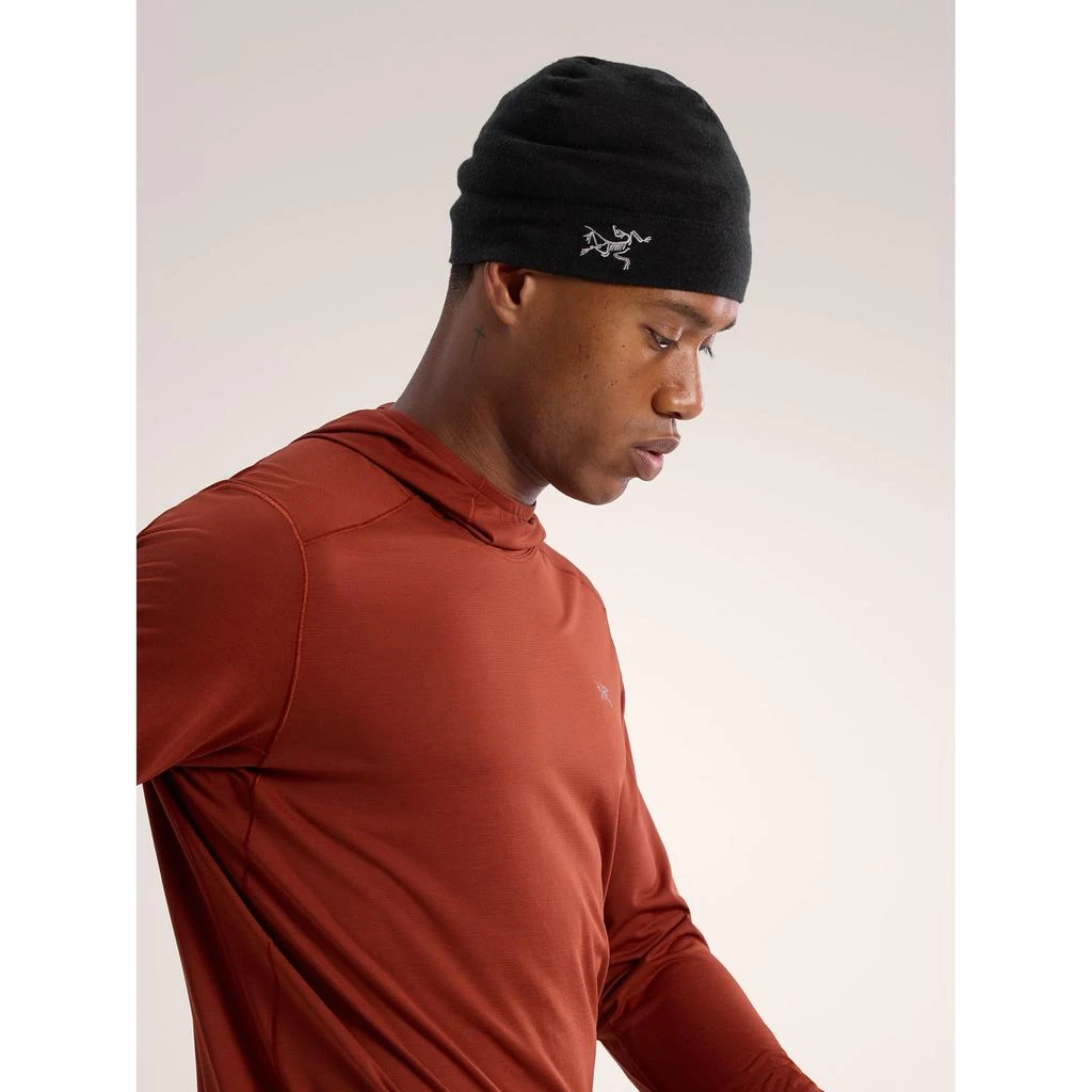 Arc'teryx Rho Lightweight Wool Toque | Streamlined Merino Wool Beanies | Thermal Efficiency, Breathable & Versatile Hat 商品